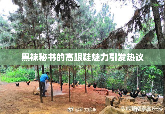 黑袜秘书的高跟鞋魅力引发热议