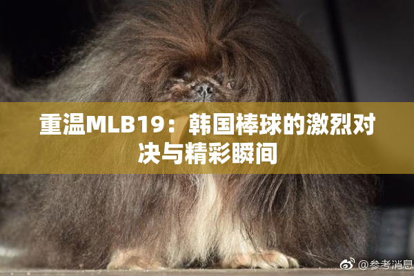 重温MLB19：韩国棒球的激烈对决与精彩瞬间