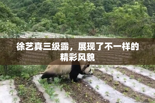 徐艺真三级露，展现了不一样的精彩风貌