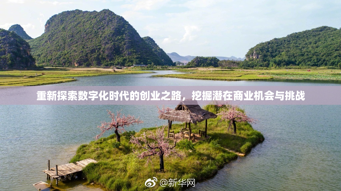 重新探索数字化时代的创业之路，挖掘潜在商业机会与挑战