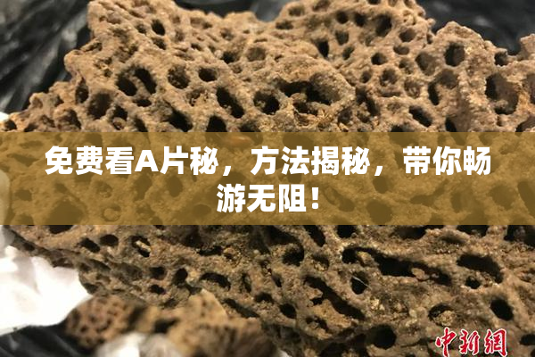 免费看A片秘，方法揭秘，带你畅游无阻！