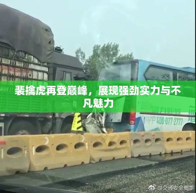 裴擒虎再登巅峰，展现强劲实力与不凡魅力