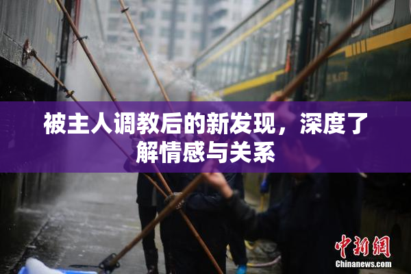 被主人调教后的新发现，深度了解情感与关系