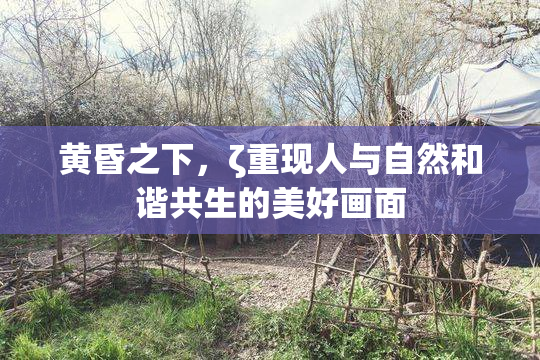 黄昏之下，ζ重现人与自然和谐共生的美好画面