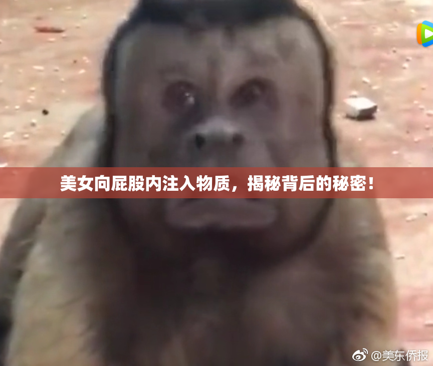美女向屁股内注入物质，揭秘背后的秘密！