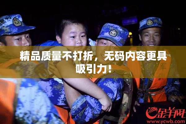 精品质量不打折，无码内容更具吸引力！