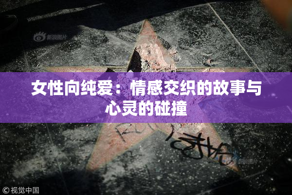 女性向纯爱：情感交织的故事与心灵的碰撞