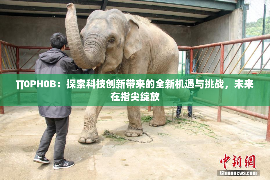 ∏0PH0B：探索科技创新带来的全新机遇与挑战，未来在指尖绽放