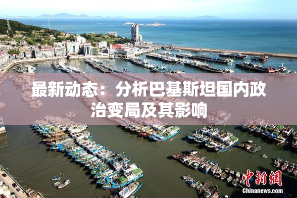 最新动态：分析巴基斯坦国内政治变局及其影响
