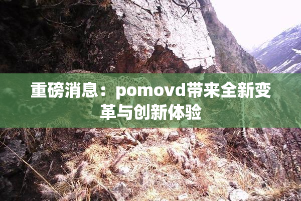 重磅消息：pomovd带来全新变革与创新体验