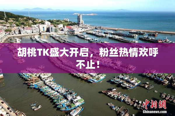 胡桃TK盛大开启，粉丝热情欢呼不止！