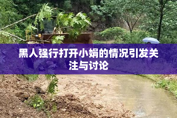 黑人强行打开小娟的情况引发关注与讨论