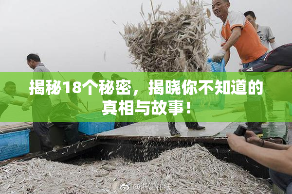 揭秘18个秘密，揭晓你不知道的真相与故事！
