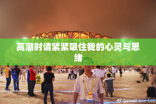 高潮时请紧紧吸住我的心灵与思绪