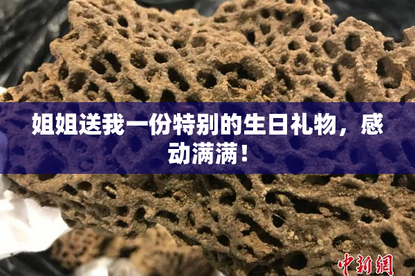 姐姐送我一份特别的生日礼物，感动满满！