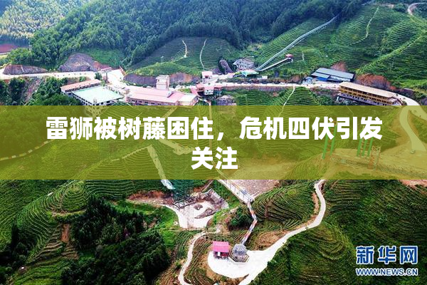 雷狮被树藤困住，危机四伏引发关注