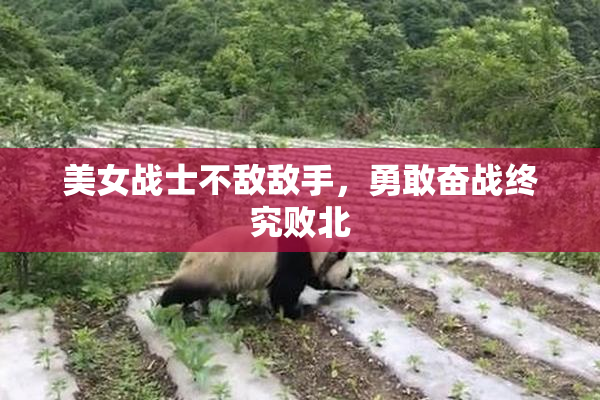 美女战士不敌敌手，勇敢奋战终究败北