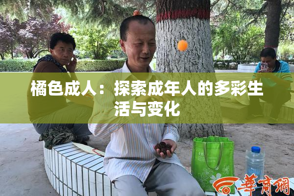 橘色成人：探索成年人的多彩生活与变化