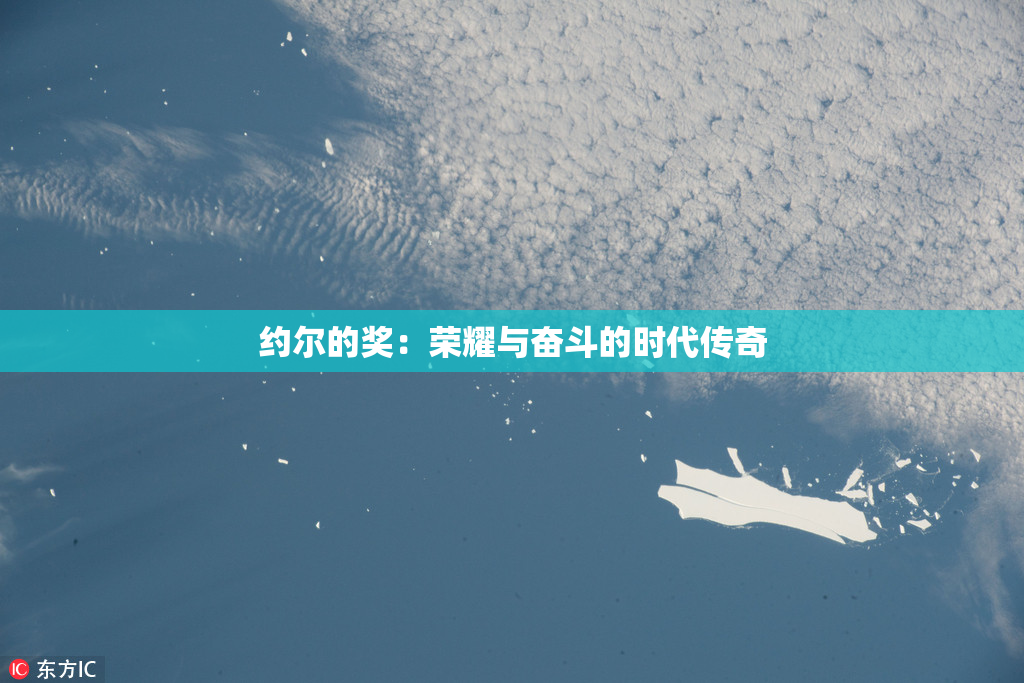 约尔的奖：荣耀与奋斗的时代传奇