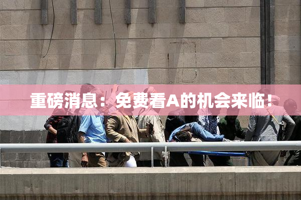 重磅消息：免费看A的机会来临！