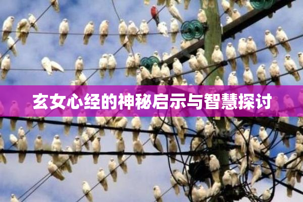 玄女心经的神秘启示与智慧探讨