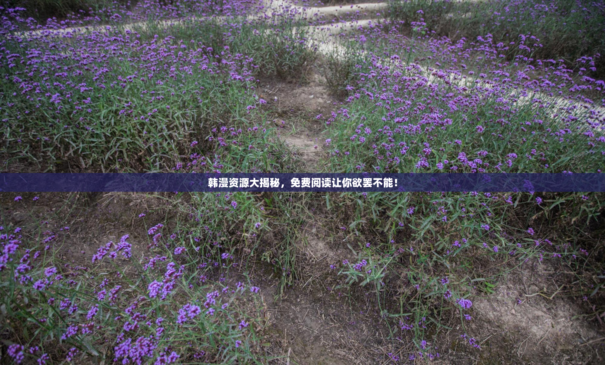 韩漫资源大揭秘，免费阅读让你欲罢不能！
