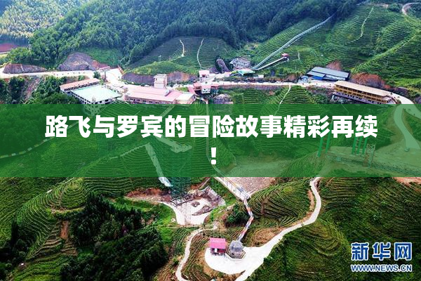 路飞与罗宾的冒险故事精彩再续！