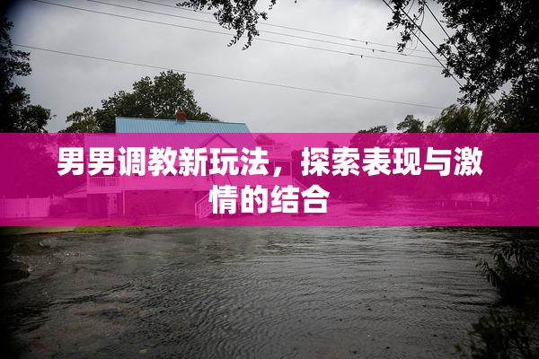 男男调教新玩法，探索表现与激情的结合