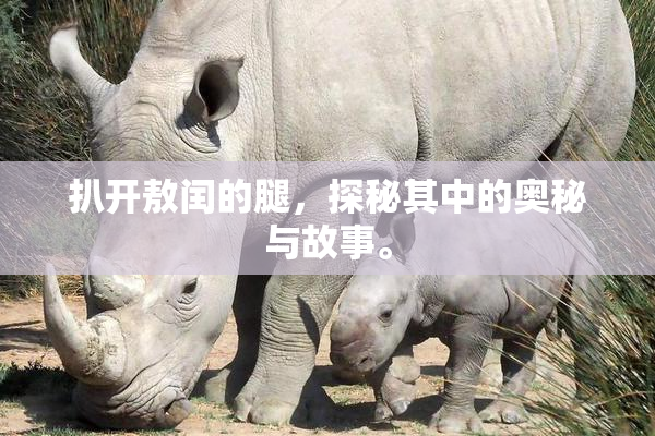 扒开敖闰的腿，探秘其中的奥秘与故事。