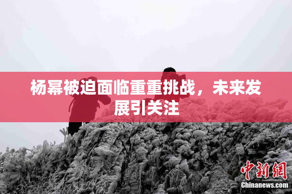 杨幂被迫面临重重挑战，未来发展引关注