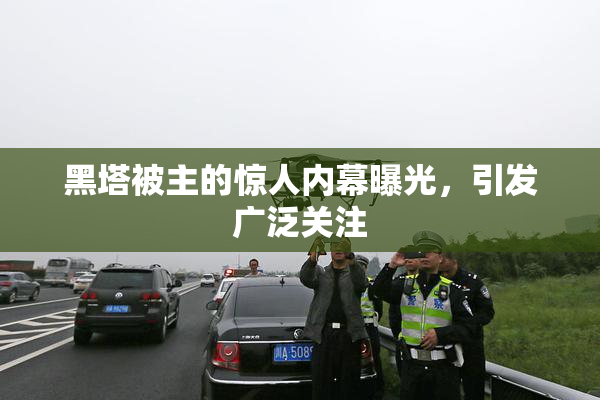 黑塔被主的惊人内幕曝光，引发广泛关注