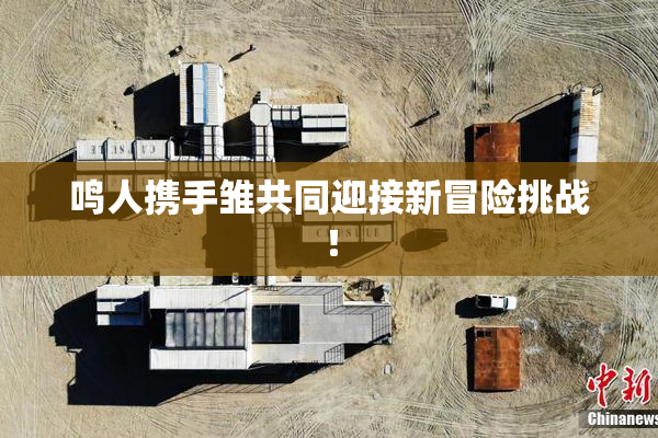 鸣人携手雏共同迎接新冒险挑战！
