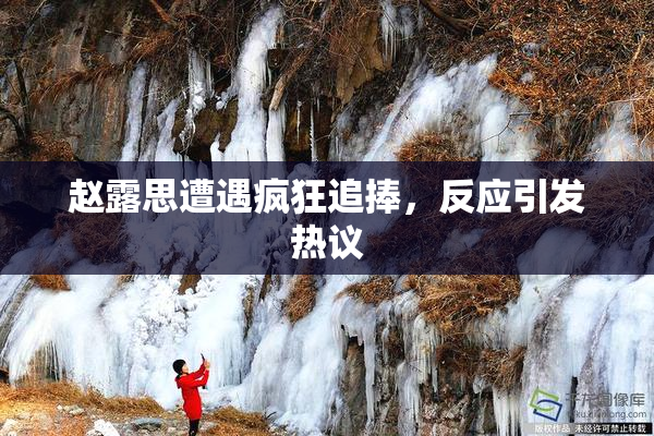 赵露思遭遇疯狂追捧，反应引发热议