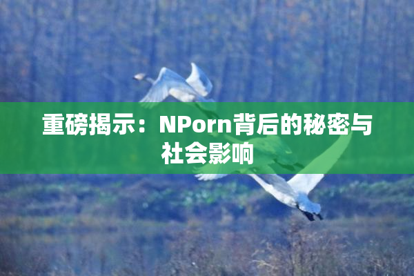 重磅揭示：ΝPorn背后的秘密与社会影响