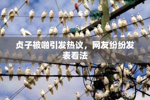 贞子被啪引发热议，网友纷纷发表看法