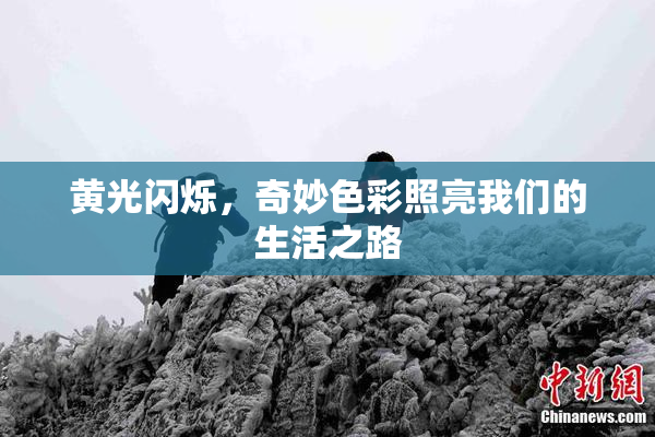 黄光闪烁，奇妙色彩照亮我们的生活之路