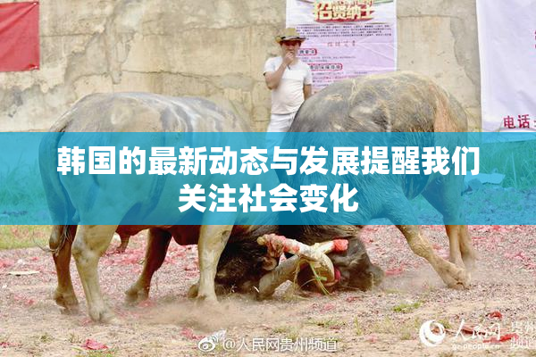 韩国的最新动态与发展提醒我们关注社会变化