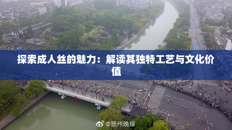 探索成人丝的魅力：解读其独特工艺与文化价值