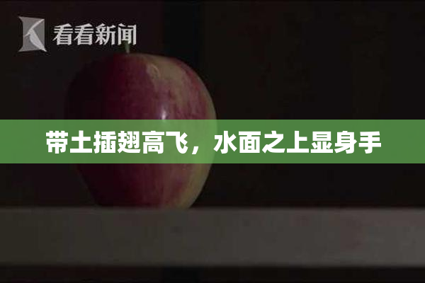 带土插翅高飞，水面之上显身手