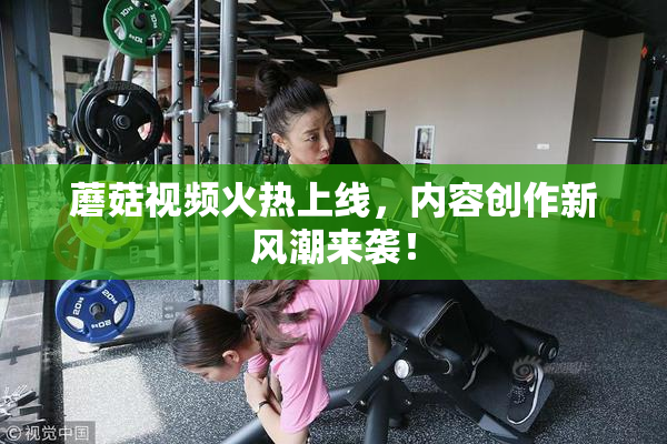 蘑菇视频火热上线，内容创作新风潮来袭！