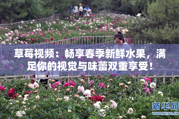 草莓视频：畅享春季新鲜水果，满足你的视觉与味蕾双重享受！