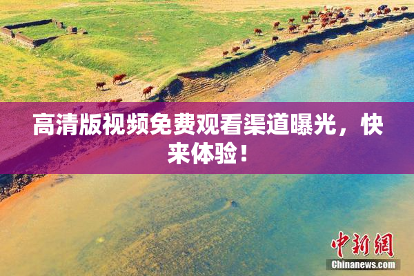 高清版视频免费观看渠道曝光，快来体验！