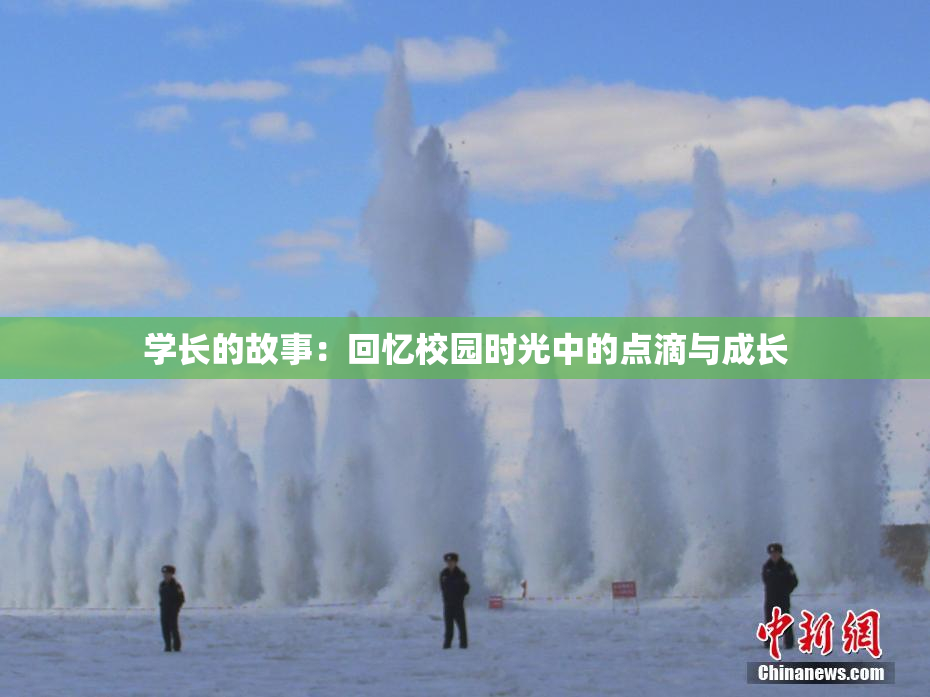 学长的故事：回忆校园时光中的点滴与成长