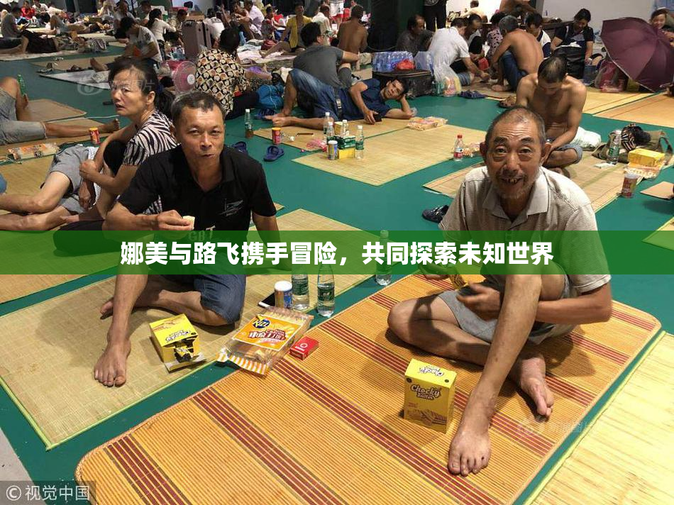 娜美与路飞携手冒险，共同探索未知世界