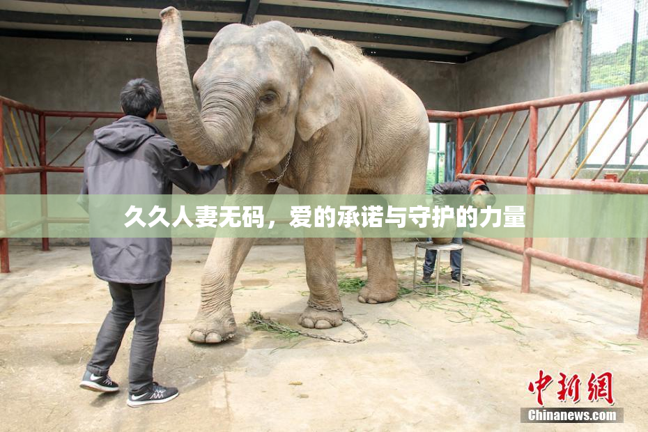 久久人妻无码，爱的承诺与守护的力量