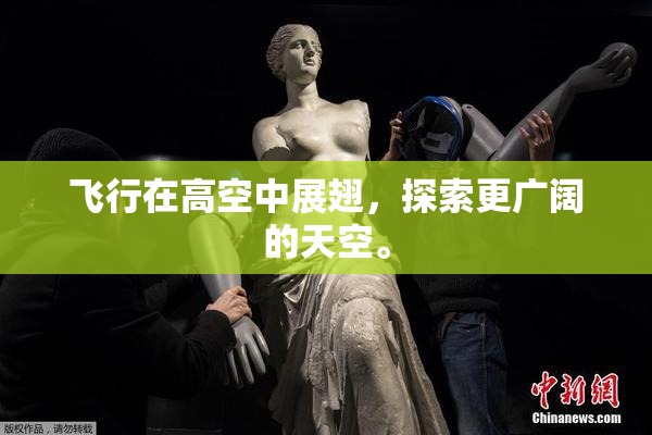 飞行在高空中展翅，探索更广阔的天空。
