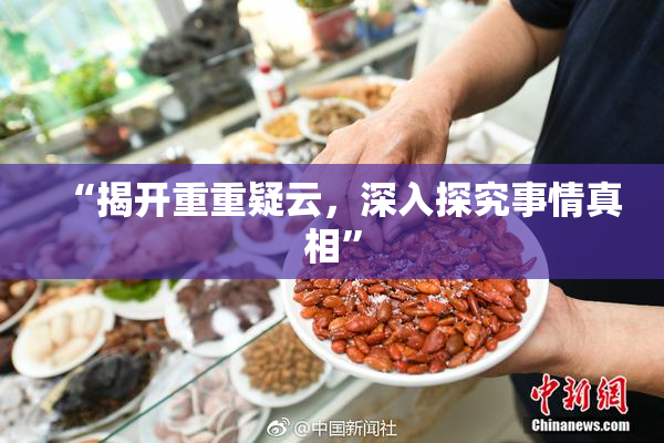 “揭开重重疑云，深入探究事情真相”
