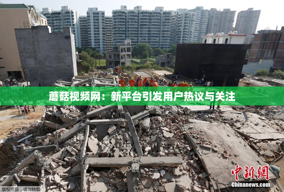 蘑菇视频网：新平台引发用户热议与关注