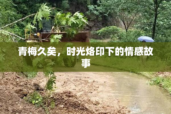 青梅久矣，时光烙印下的情感故事