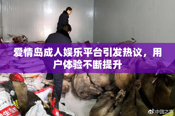 爱情岛成人娱乐平台引发热议，用户体验不断提升